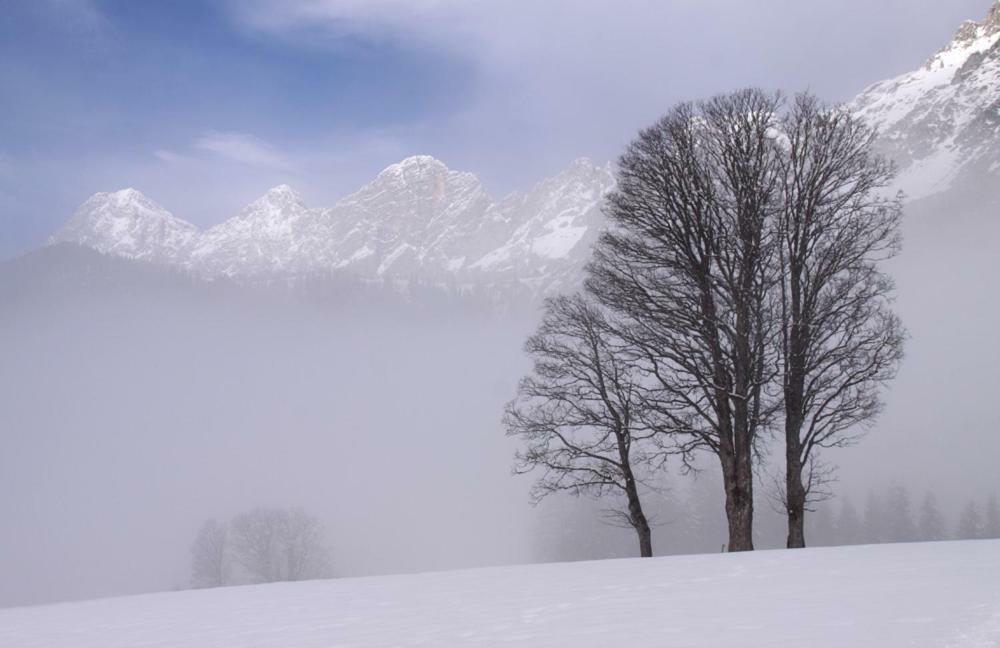 Bergfuehrerhaus Bed & Breakfast Ramsau am Dachstein Exterior foto